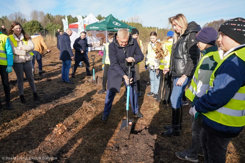 Drzewka zostały posadzone przy zbiorniku retencyjnym...