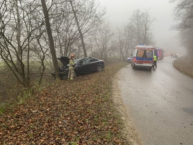 W Buczynie samochód wypadł z dogi i uderzył w drzewo