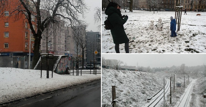 Pierwszy śnieg w Szczecinie! W końcu sypnęło białym puchem [ZDJĘCIA]