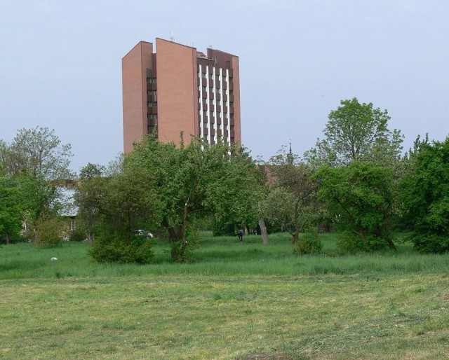 Wątpliwa wizytówka pustego centrum Tarnobrzega.