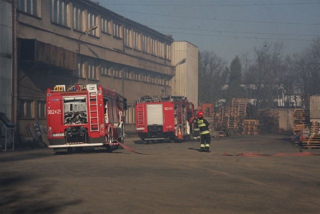 Półtorej godziny walczyli strażacy z pożarem w dawnych biurach Ofamy na ulicy Niemodlińskiej w Opolu. Ogień miał być podłożony w kilku miejscach.