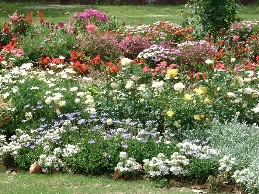 Ogród wiejeski lubi kwiaty i spontaniczność...