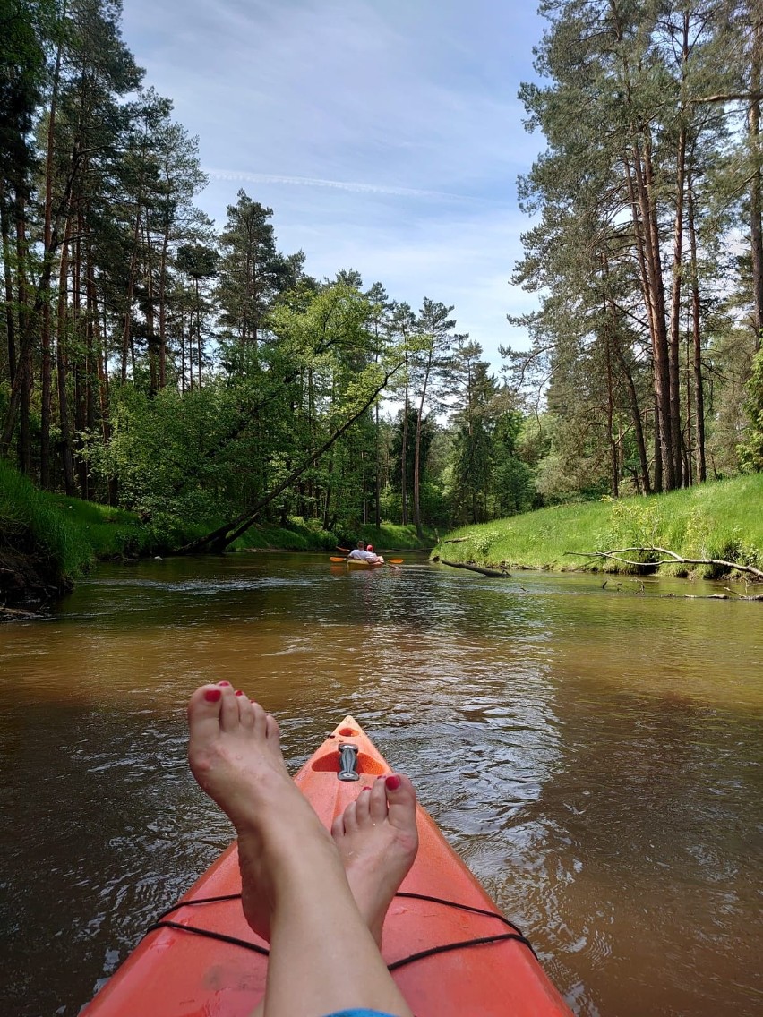 Mała Panew, zwana opolską Amazonką, z perspektywy kajaka...