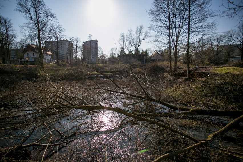 Drogi Park Duchacki. Potrzeba prawie 15 mln na rewitalizację!