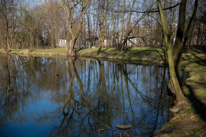 Drogi Park Duchacki. Potrzeba prawie 15 mln na rewitalizację!