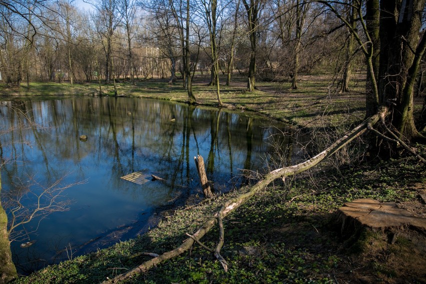 Drogi Park Duchacki. Potrzeba prawie 15 mln na rewitalizację!