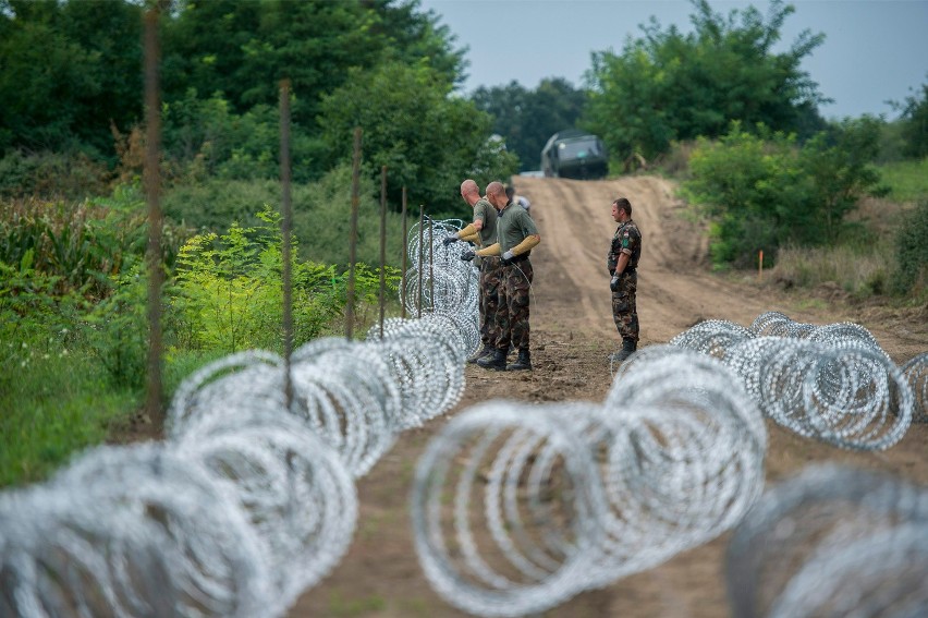 Węgierscy żołnierze przy budowie płotu na granicy z Serbią