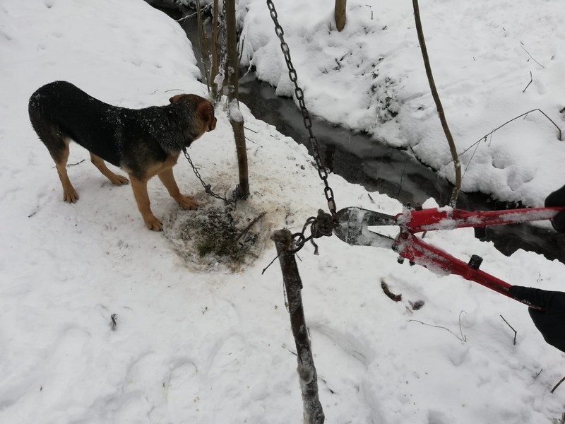 W sobotę po godz. 12, oficer dyżurny krośnieńskiej policji...