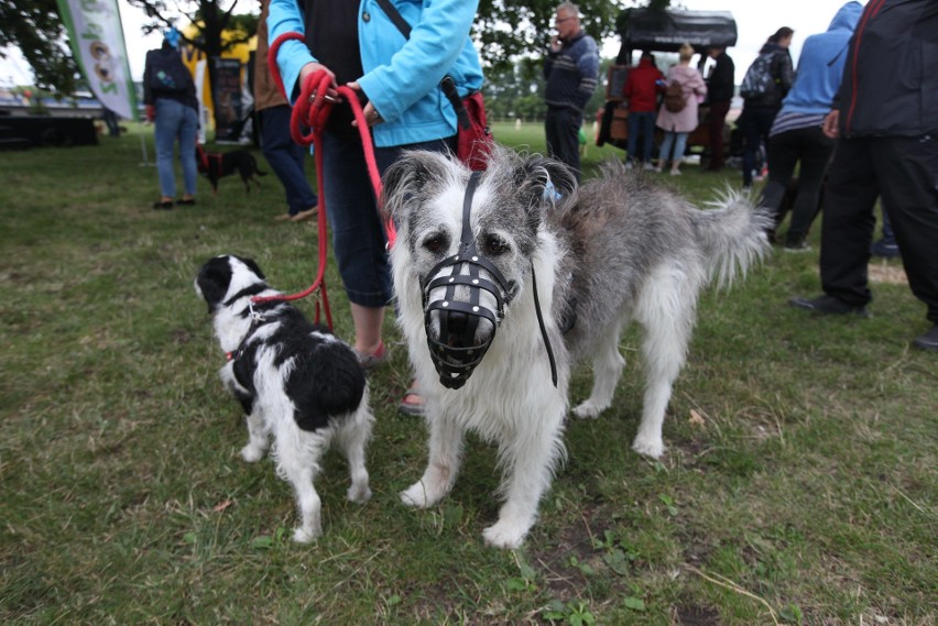 Marsz Azylanta 2018 w Krakowie