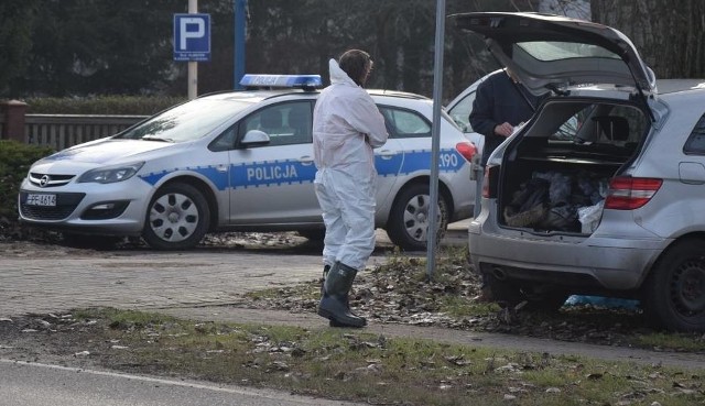 Po zbadaniu padłych ptaków okazało się, że są one zarażone wysoce zjadliwą ptasią grypą