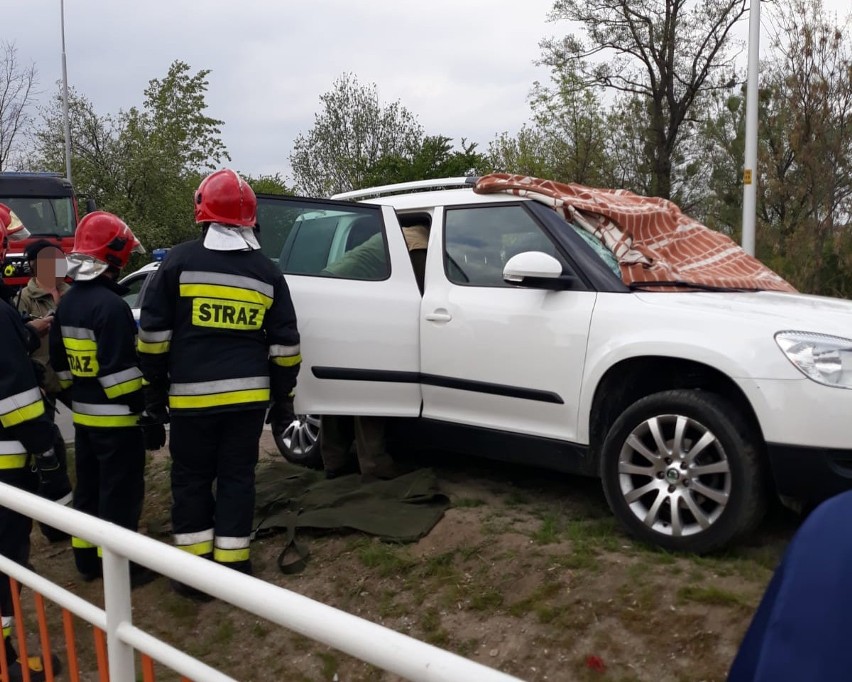 Wypadek we Wrocławiu. Sarna wpadła do auta przez przednią szybę [ZDJĘCIA]