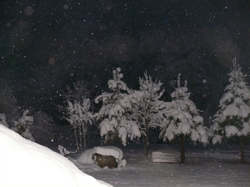 W Bieszczadach zima jak z bajki. Zobaczcie piękne przyprószone śniegiem drzewa. Drogi też są białe [ZDJĘCIA INTERNAUTY]