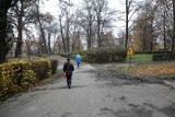 Park Słowiański zyska nowe  oblicze. Jak przebiegają prace?