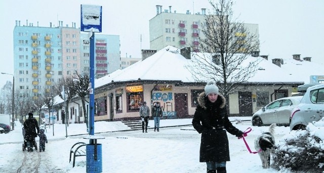 Urzędnicy miejscy zapewniają, że pasażerowie w końcu doczekają się wiaty na przystanku "Bojki"