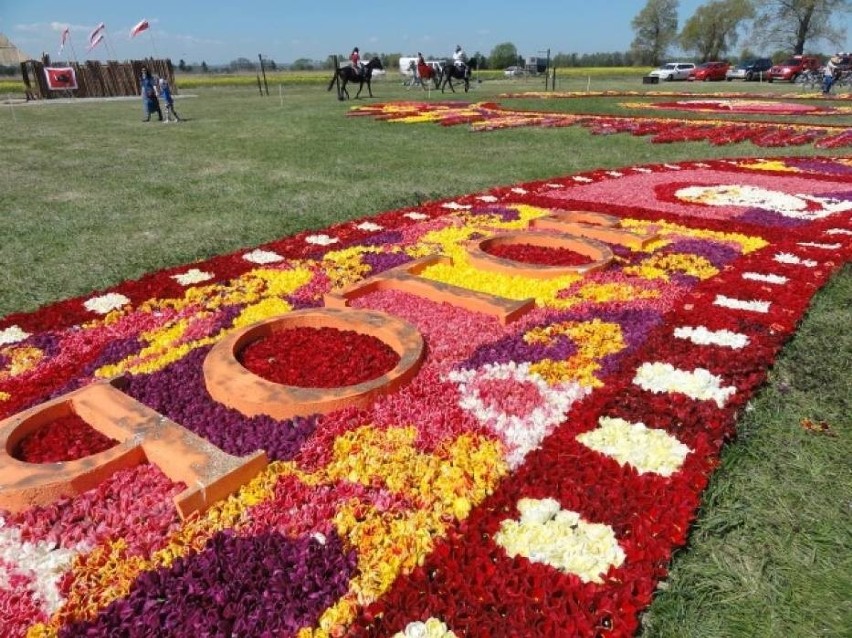 Mokry Dwór: Ósma edycja Żuławskiego Tulipana w toku. Na cześć Sienkiewicza [ZDJĘCIA]