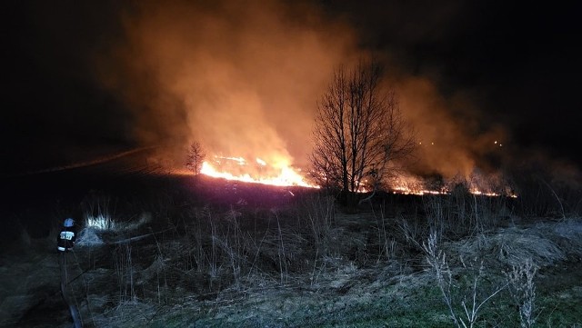 Pożar traw w Wierzchowiu w gminie Wielka Wieś