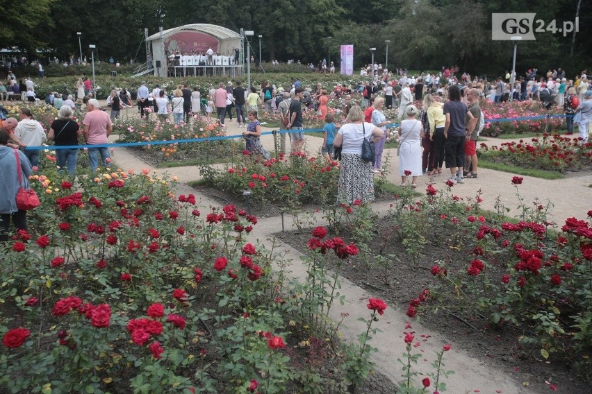 Różany Ogród Sztuki w Szczecinie. Orkiestra Wojskowa zagrała w święto Wojska Polskiego ZDJĘCIA 