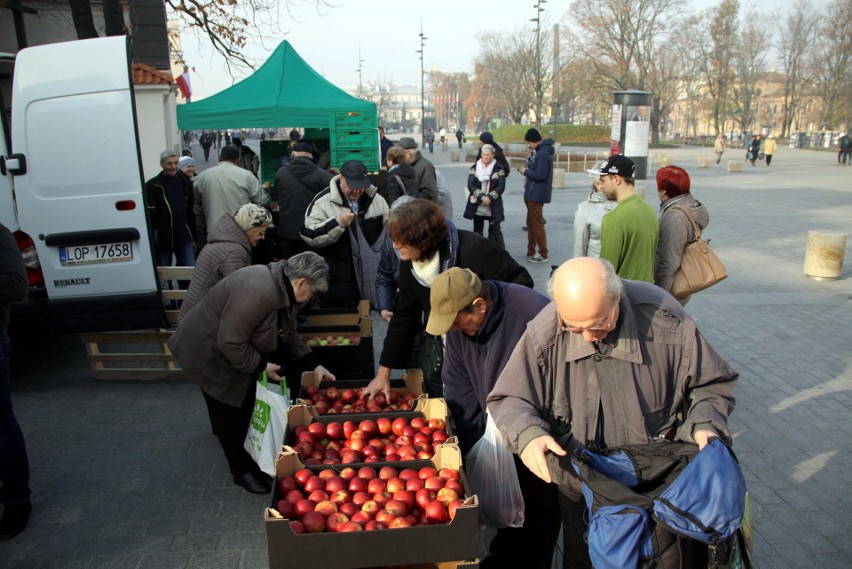 Wielu chętnych na darmowe jabłka w Lublinie. Owoce rozeszły się w ekspresowym tempie