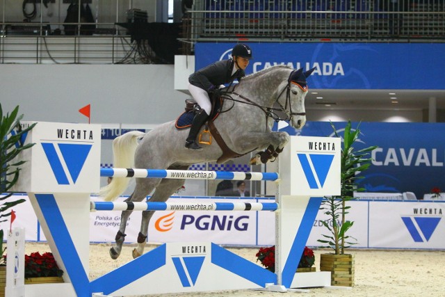 Cavaliada 2014