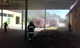 Pożar w suszarni ziół w Borzęcinie [zdjęcia] 