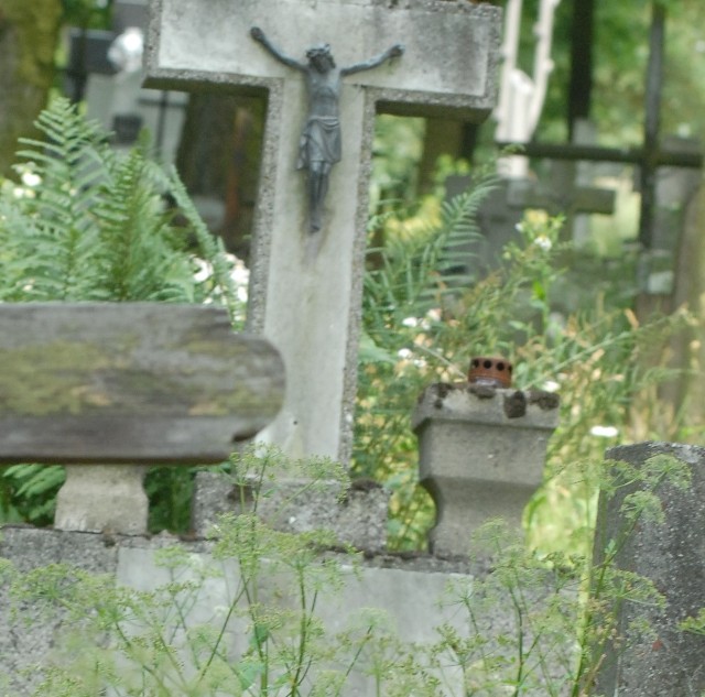 Trawa niemal w całości zarosła już cmentarz przy ul. Warszawskiej