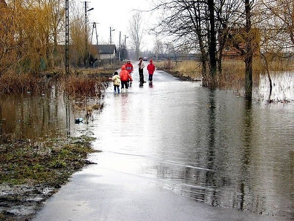 Krzemienica, gmina Gawłuszowice. Tu woda zalała kilkaset...