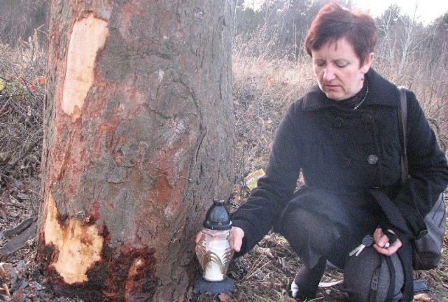 Sołtys Grochowa Maria Miszczak jako pierwsza zapaliła znicz pod drzewem, gdzie doszło do wypadku. W Grochowie mieszkał zmarły w wypadku Grzegorz.