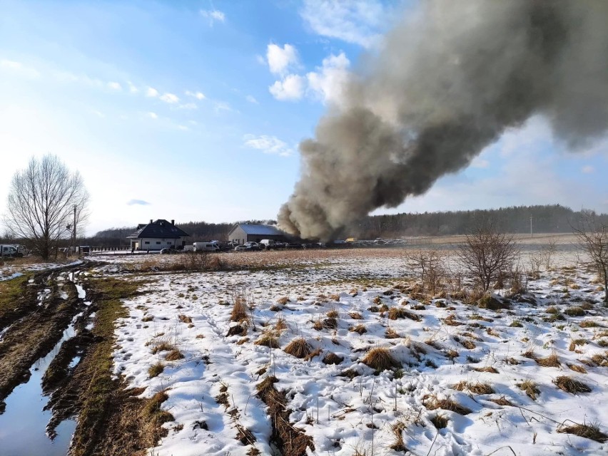 W ogniu stanął warsztat samochodowy w Szczecnie w gminie...