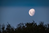 Rakieta SpaceX może uderzyć w Księżyc. Kolizję będzie widać z Ziemi? 