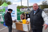 Udana akcja ekologiczna "Drzewko za surowce wtórne" w Sandomierzu. Mieszkańcy oddali makulaturę, plastikowe nakrętki i baterie