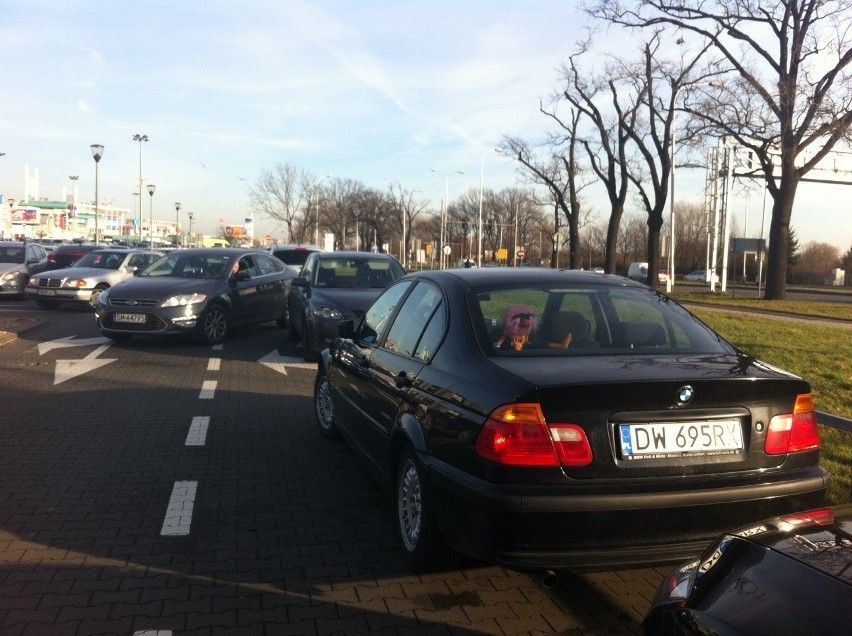 Wrocław: Przedświąteczna gorączka zakupowa trwa. Problemy z parkowaniem (ZDJĘCIA)