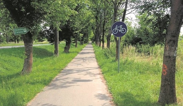 Wzdłuż ścieżki rowerowej Kobylanka - Morzyczyn rosną przede wszystkim jesiony wyniosłe i klony jednolistne. W ubiegłym roku oznaczono je farbą do wycinki. Na razie nie ma do niej chętnych