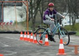 Karta rowerowa obowiązkowa dla dorosłych?