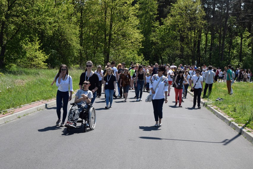 Częstochowski Mount Everest zdobyło ponad sto osób [ZDJĘCIA]