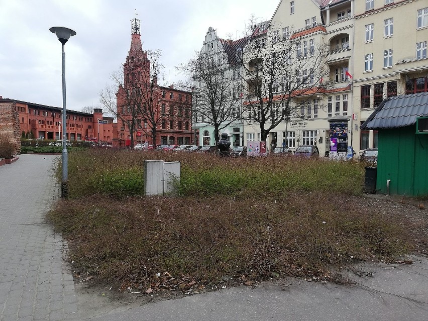 Poznań: Skwer Wilhelmiego wymaga uporządkowania. We wtorek konsultacje dla mieszkańców