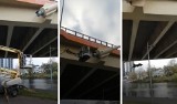 Bydgoszcz - Kot utknął na przęśle Mostu Uniwersyteckiego w Bydgoszczy. Akcja ratunkowa. Zobacz wideo