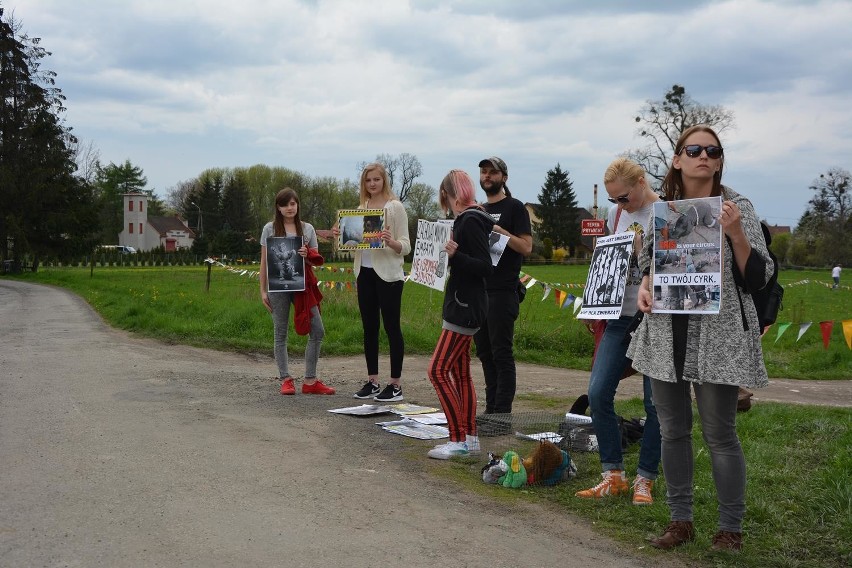 Protest przeciwko cyrkom ze zwierzętami w Cieszynie