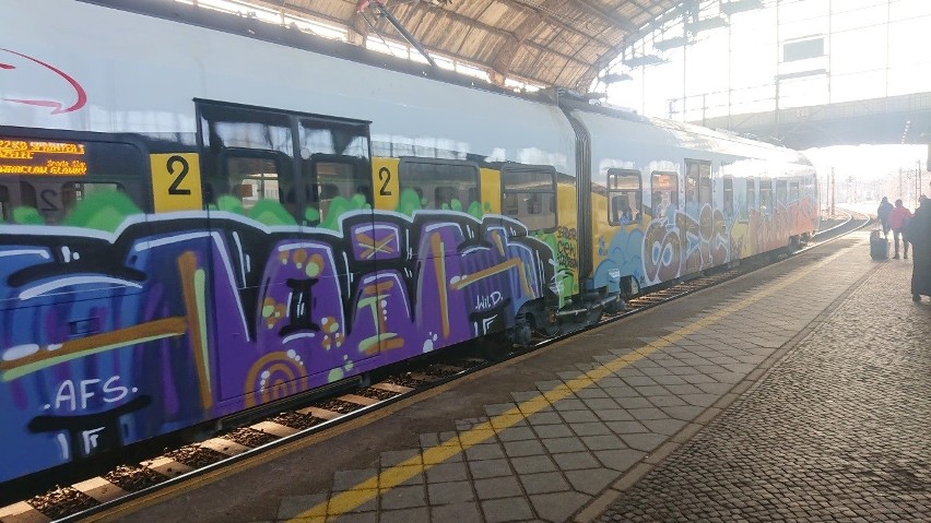 Tyle zostało z pociągu Kolei Dolnośląskich po ataku grafficiarzy [ZDJĘCIA]