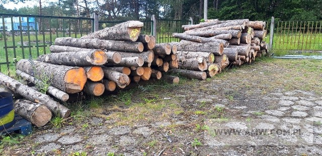 Drewno (łącznie 86,49 m3) - pakiet zawierający 4 poz. asort., w tym: drewno iglaste opałowe (świerk) - 1,17 m3; drewno mieszane opałowe (gałęzie) - 75 m3; drewno iglaste z wycinki (świerk) - 4,35 m3; drewno iglaste z wycinki (sosna) - 5,97 m3 - 900 zł
