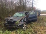 Dzięciołówka. Wypadek bmw wypadło z drogi na zakręcie (zdjęcia)