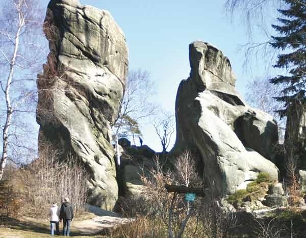 Rezerwat przyrody w Prządkach