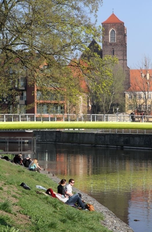 Wrocławianie na Wyspie Słodowej. Wiosenna pogoda zachęca [GALERIA]