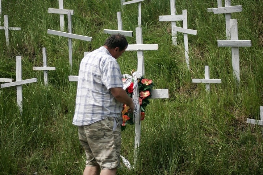 Las krzyży przeciwko gazoportowi w Świnoujściu