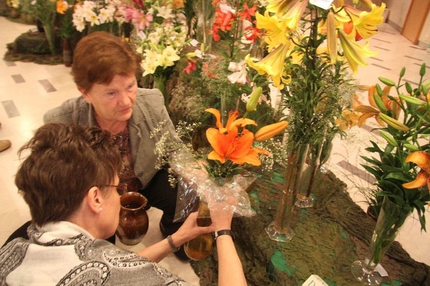 Wystawa lilii w Kielcach