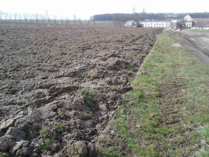 Lubrza. Gorliwy traktorzysta zaorał pas drogowy i uszkodził kapliczkę