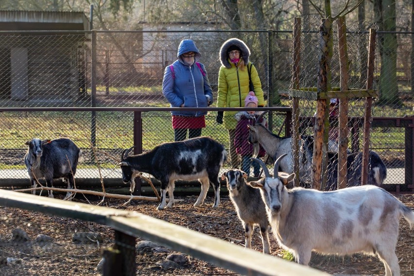 W świąteczną sobotę (26.12.2020) bydgoszczanie postanowili...