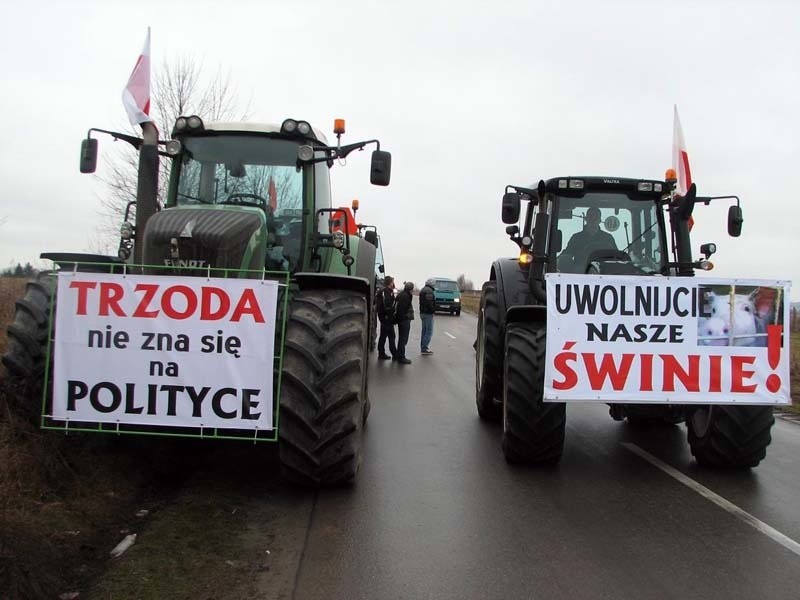 Protest rolników na DK 19 ws. ASF. Kolumna traktorów pojechała do Zabłudowa (zdjęcia)