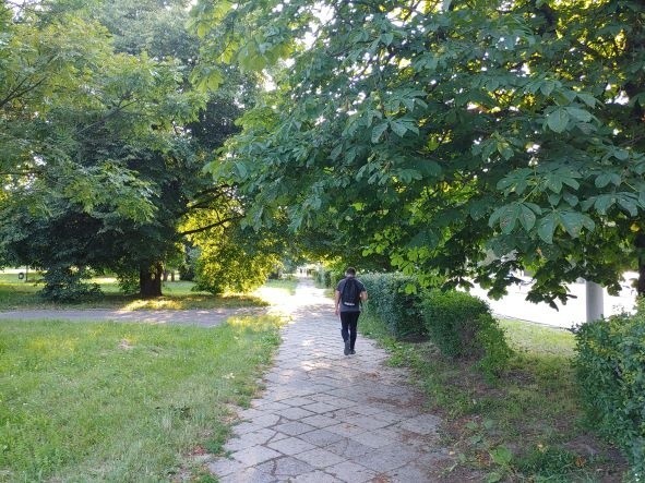 Chodniki w Lublinie nie są dla wysokich ludzi? Ratusz obiecuje, że się tym zajmie
