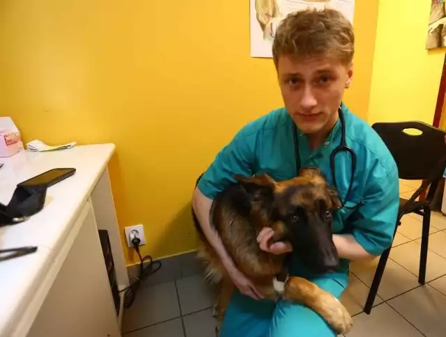 - Nie ma dnia, by ktoś nie zgłosił się z psem, który stał się ofiarą kleszczy &#8211; mówi Michał Potera, lekarz weterynarii w przychodni "Pankracy&#8221; w Radomiu. 