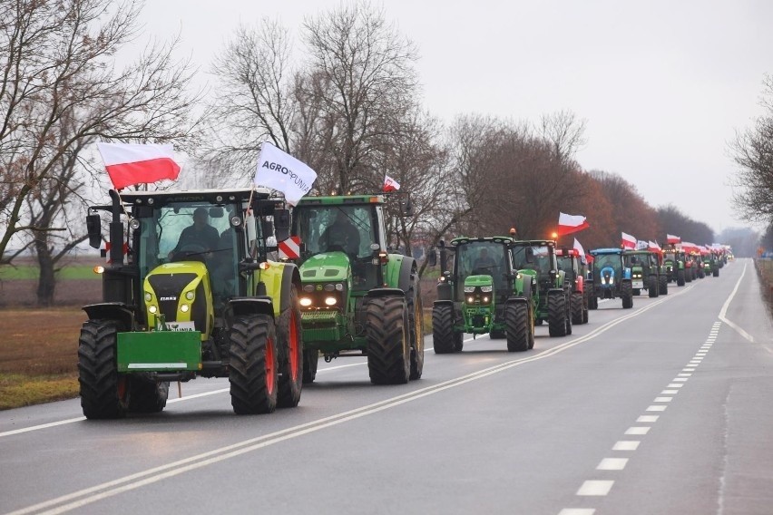 W akcji protestacyjnej w Warszawie wzięli udział rolnicy z...